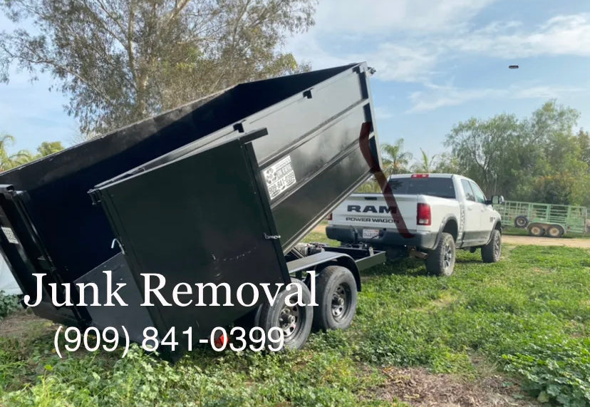 10 Yard Dumpster 1 day rental (local delivery)